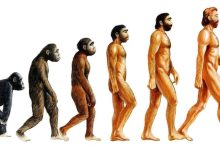 Photo of Эволюция человечества: от древности до настоящего